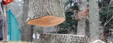Best Tree Health Inspection  in Gardende, AL
